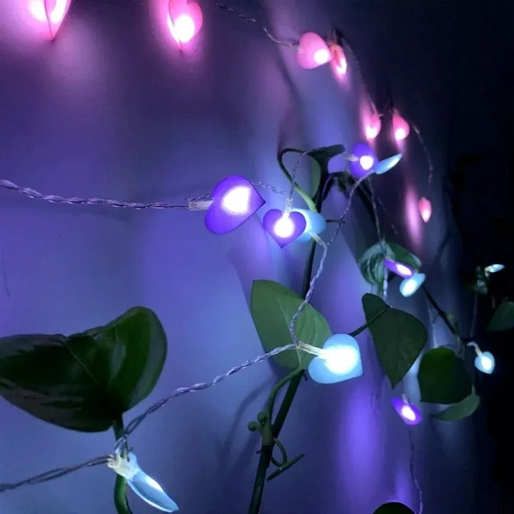 Heart String Lights